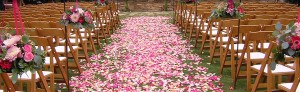 Line your wedding path with lots of colorful rose petals